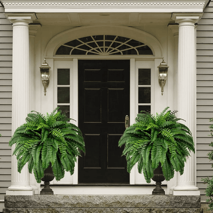 ❗❗❗Final Day! Massive 75% Discount on Sun-Defying, Hyper-Realistic Boston Ferns