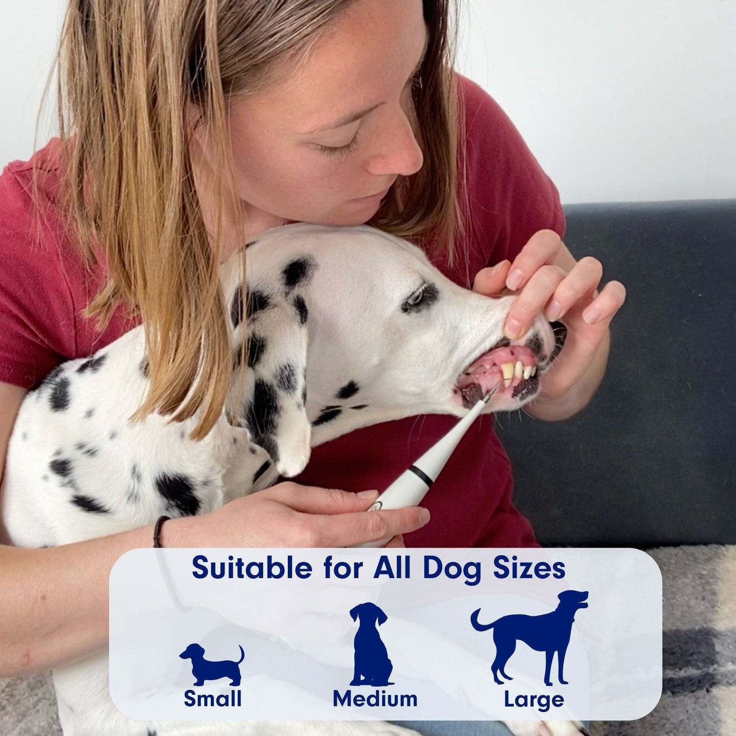 Negusy™ Pet Ultrasonic Toothbrush – Professional Tartar Removal & Fresh Breath for Dogs