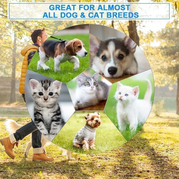 Electric Cat and Dog Comb: Efficient Grooming Made Easy