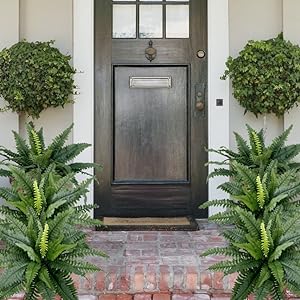 ❗❗❗Final Day! Massive 75% Discount on Sun-Defying, Hyper-Realistic Boston Ferns
