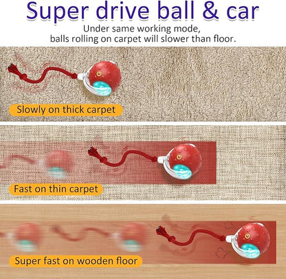 Interactive Pet Rolling Ball | Boosts Your Pet's Activity & Mental Stimulation 🐾