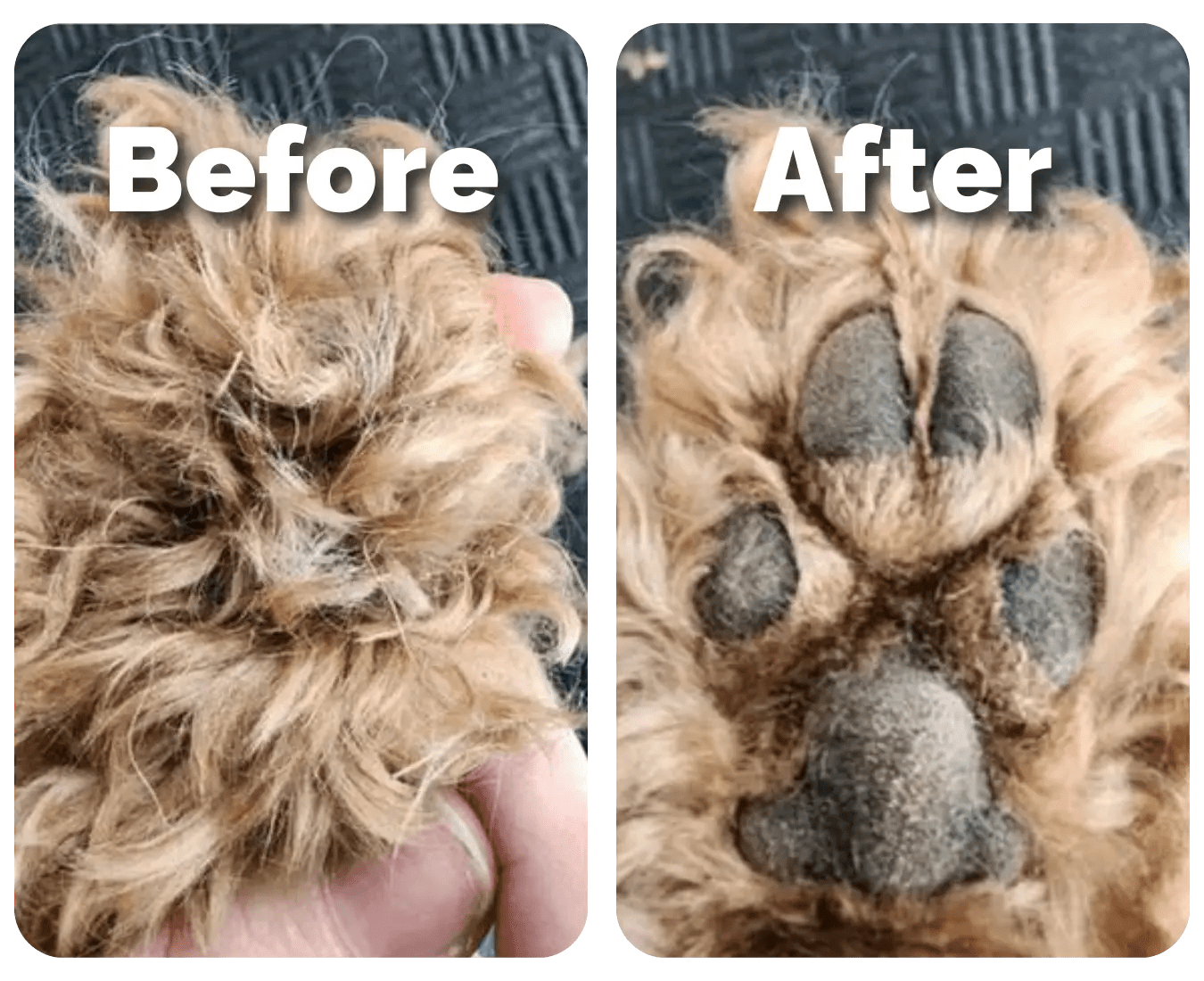 Silent & Waterproof Rechargeable Pet Shaver with LED Light