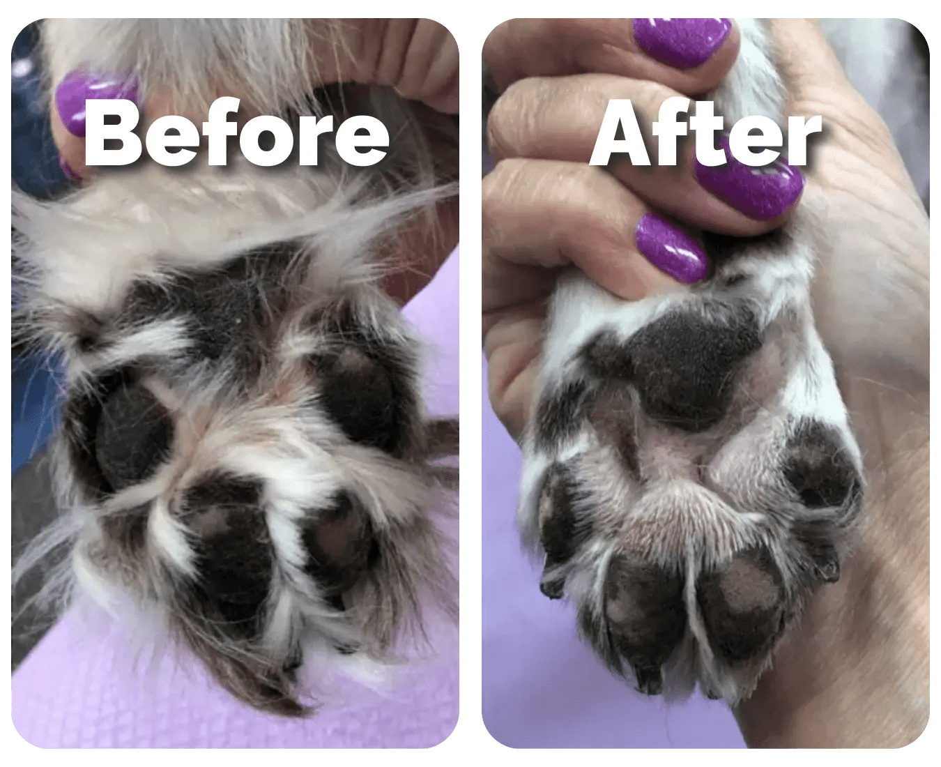 Silent & Waterproof Rechargeable Pet Shaver with LED Light