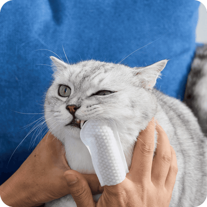 Natural Formula Pet Cleansing Finger Wipes