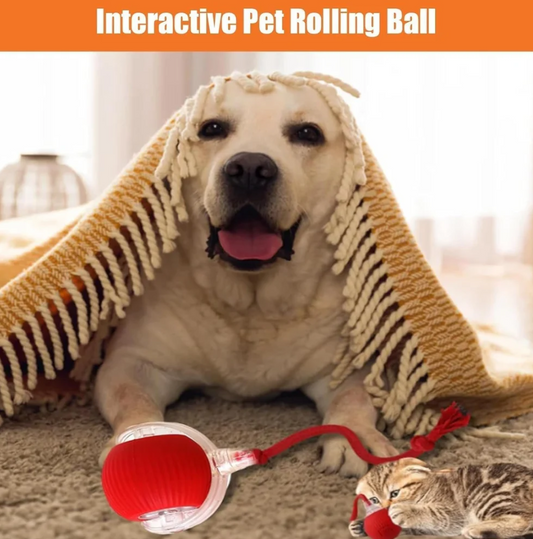 Interactive Pet Rolling Ball | Boosts Your Pet's Activity & Mental Stimulation 🐾