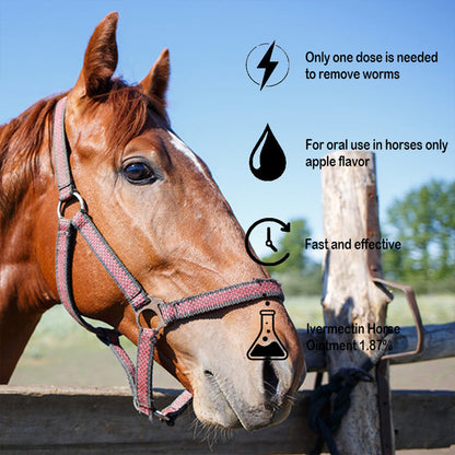 🔥 Last Day 49% OFF – Ivermectin Horse Dewormer Paste 1.87% (6.08g Tube)