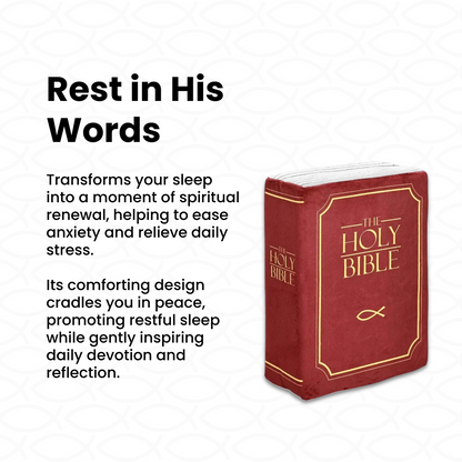 ✝️The Bible Pillow