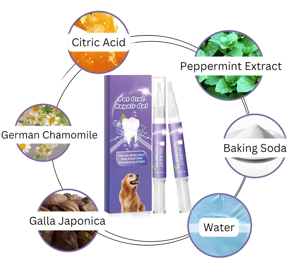 Fresh Smile Pet Gel