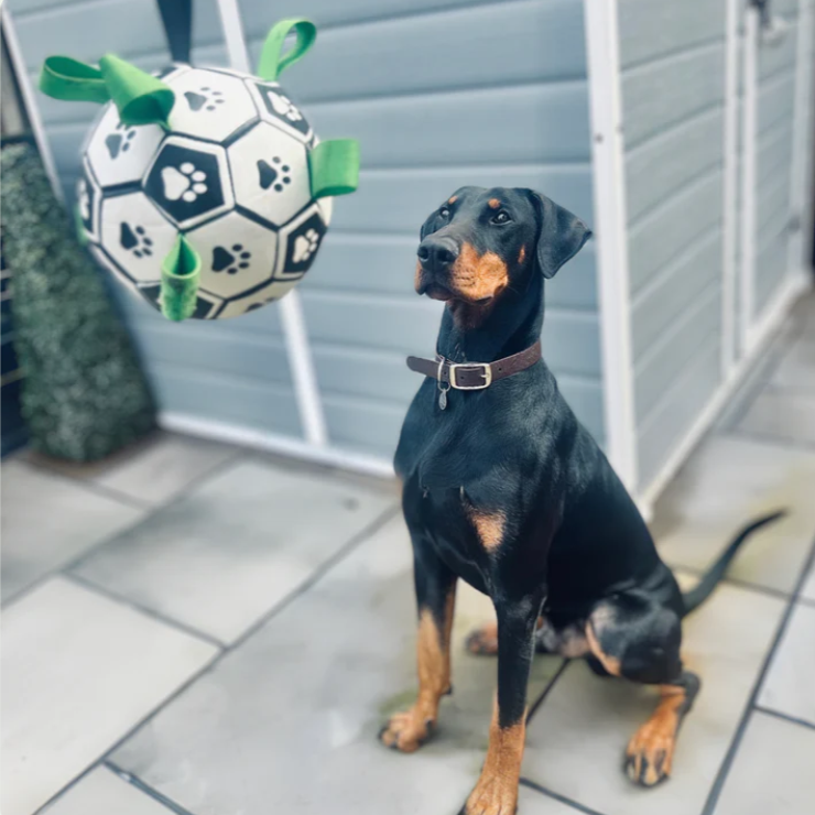 Viral Doggie Ball - Ultimate Tear-Resistant Fun