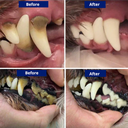 Negusy™ Pet Ultrasonic Toothbrush – Professional Tartar Removal & Fresh Breath for Dogs