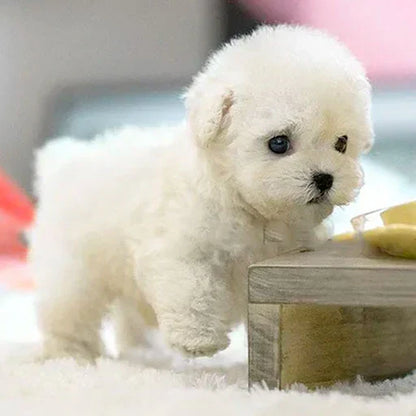 【Jeremytis™ Official Store】My Realistic Robot Puppy 🐶🌭 (🔥LAST DAY SALE—90% OFF💝)