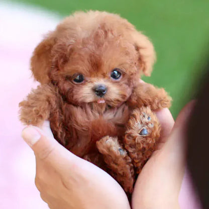 【Jeremytis™ Official Store】My Realistic Robot Puppy 🐶🌭 (🔥LAST DAY SALE—90% OFF💝)